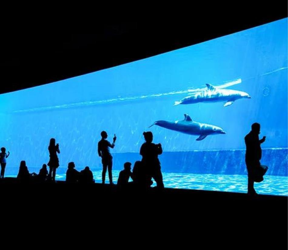 Acquario di Genova - Le meraviglie del mondo sommerso