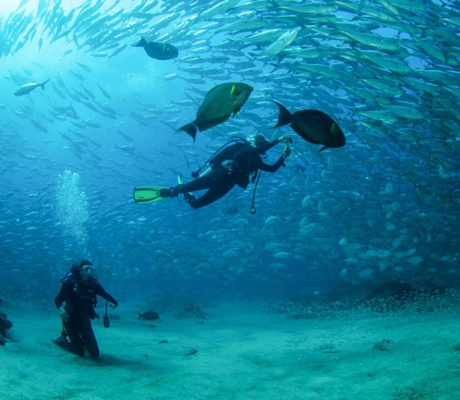 Emozioni in mare: 1 lezione di immersione subacquea per te