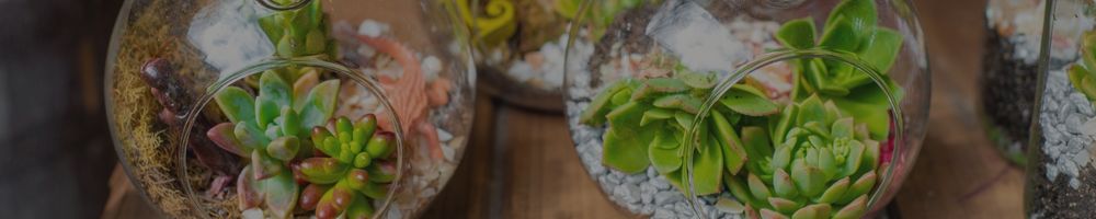 Terrari